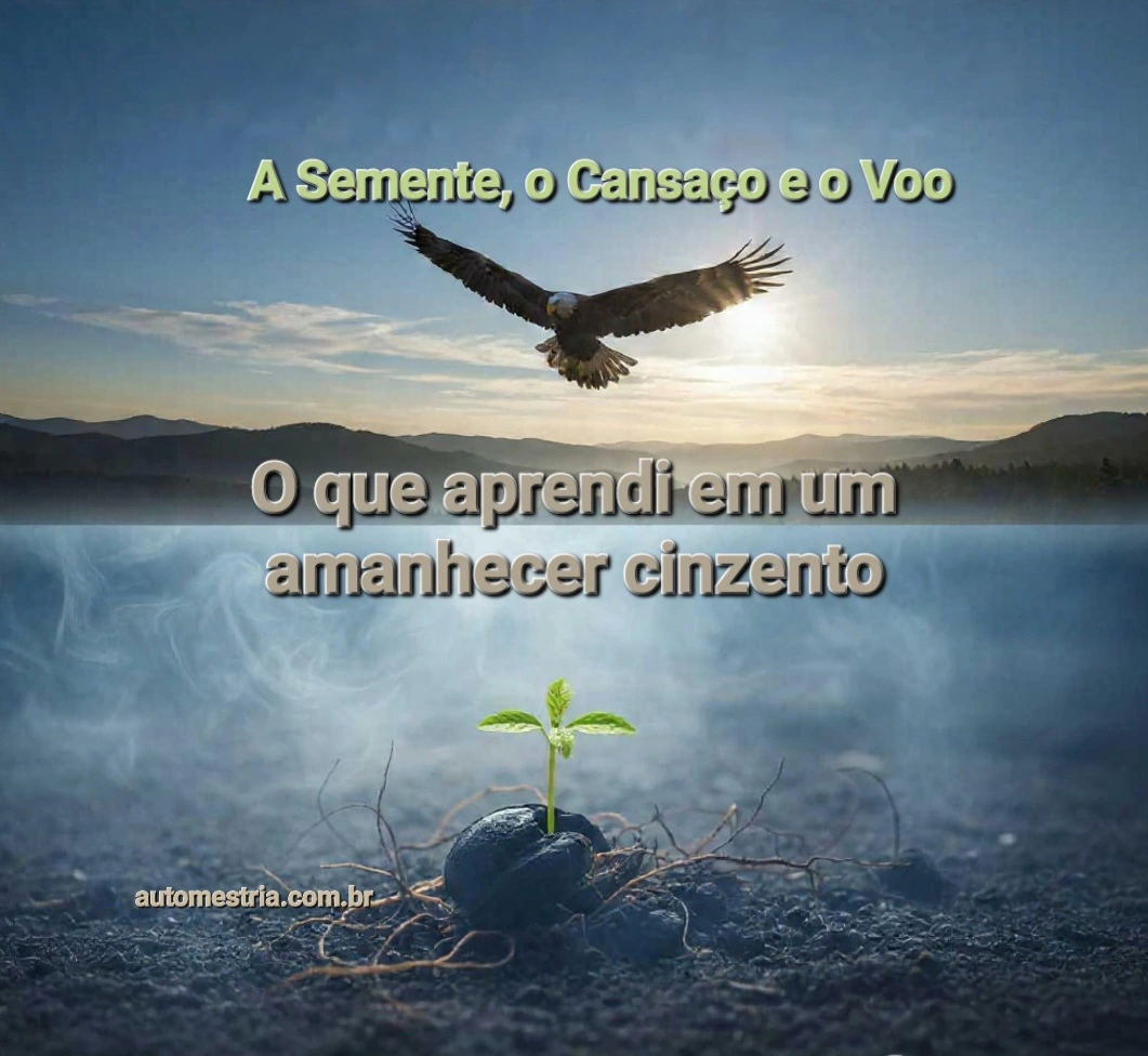 A Semente, o Cansaço e o Voo