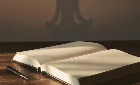 O Laboratório Interno